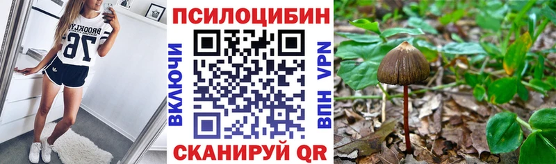 Псилоцибиновые грибы Magic Shrooms  мориарти Telegram  Новошахтинск  блэк спрут рабочий сайт 