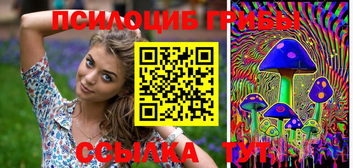 Галлюциногенные грибы Psilocybe  Новошахтинск 