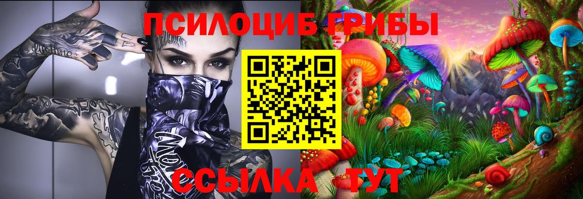 Псилоцибиновые грибы ЛСД  Новошахтинск 