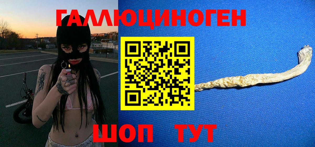 Новошахтинск  Псилоцибиновые грибы MAGIC MUSHROOMS  Вход с VPN  как найти закладки  Псилоцибиновые грибы Psilocybine cubensis 
